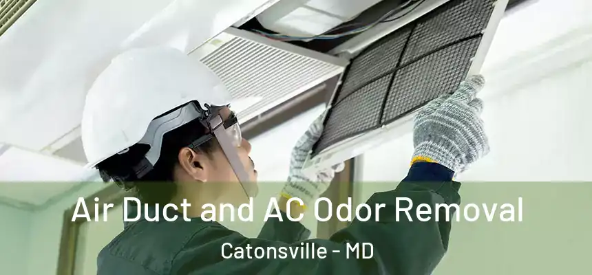 Air Duct and AC Odor Removal Catonsville - MD