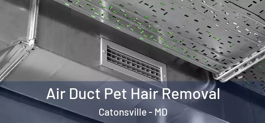  Air Duct Pet Hair Removal Catonsville - MD