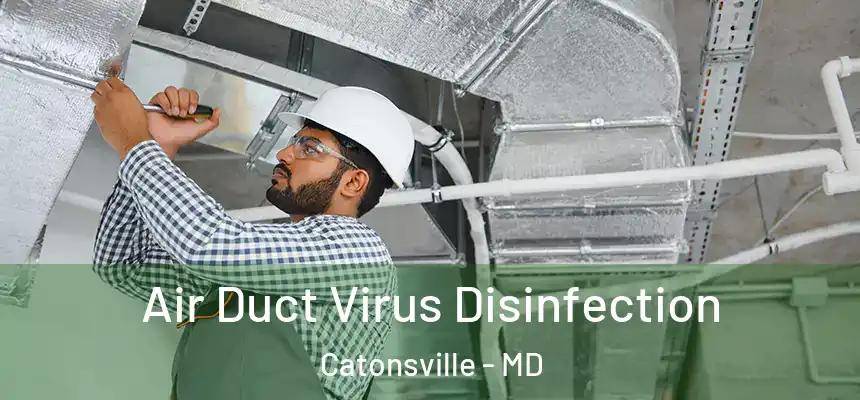 Air Duct Virus Disinfection Catonsville - MD