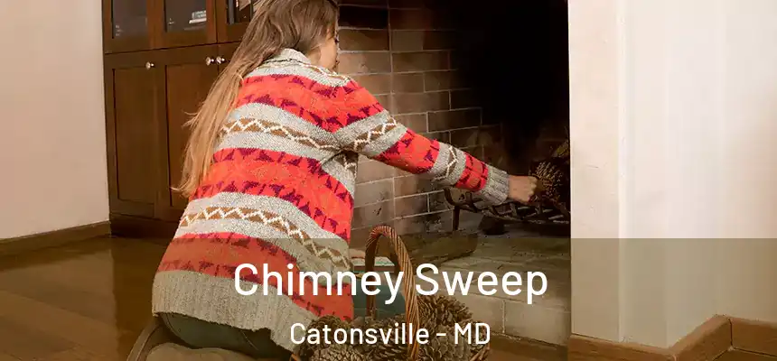Chimney Sweep Catonsville - MD