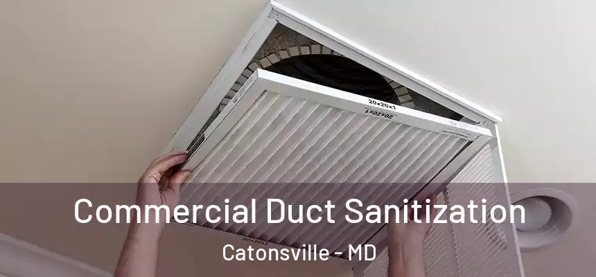 Commercial Duct Sanitization Catonsville - MD