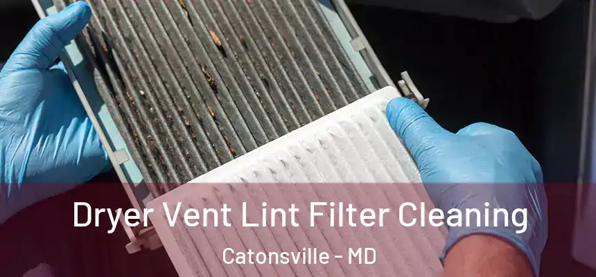 Dryer Vent Lint Filter Cleaning Catonsville - MD