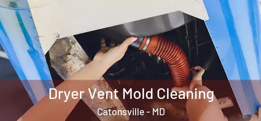 Dryer Vent Mold Cleaning Catonsville - MD