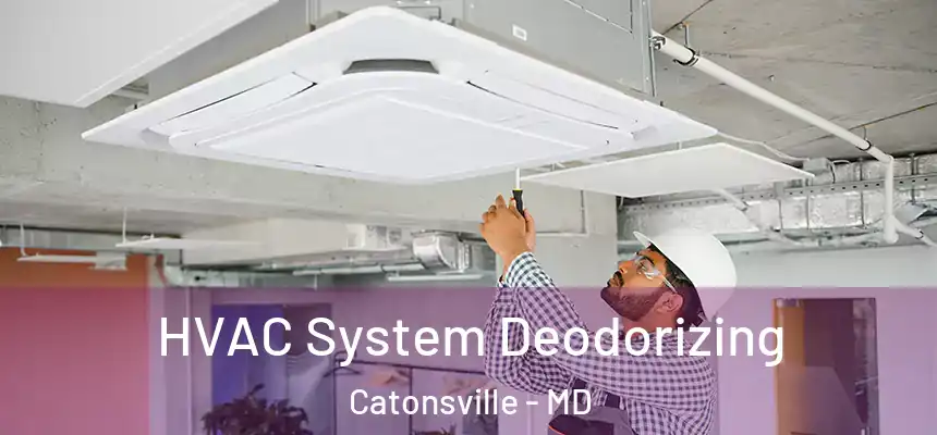 HVAC System Deodorizing Catonsville - MD