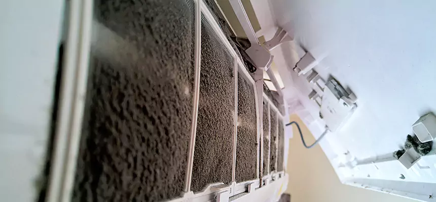 Preventive Air Duct Bacteria Removal in Catonsville