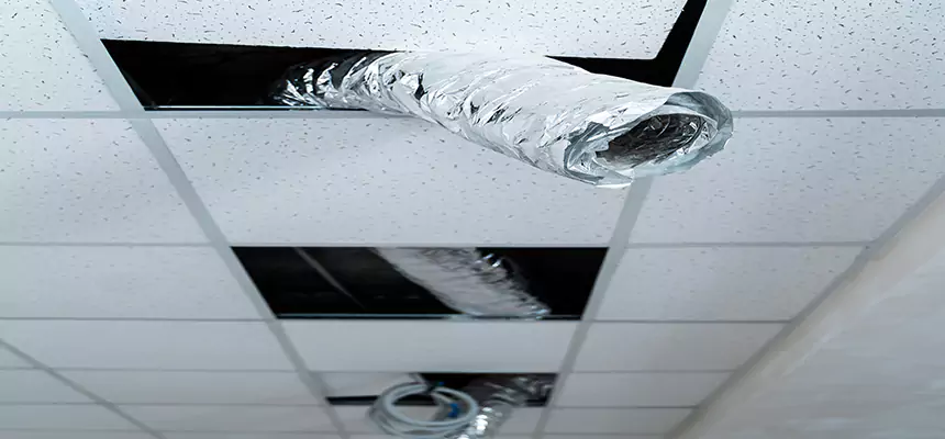 Affordable HVAC Sanitizing After Pest Removal in Catonsville