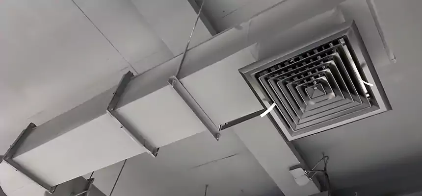 Our Pest Removal From Ducts Services in Catonsville, MD