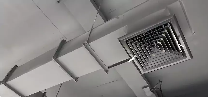 Our Rodent Droppings In Vents Services in Catonsville, MD