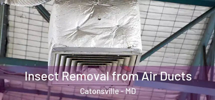  Insect Removal from Air Ducts Catonsville - MD