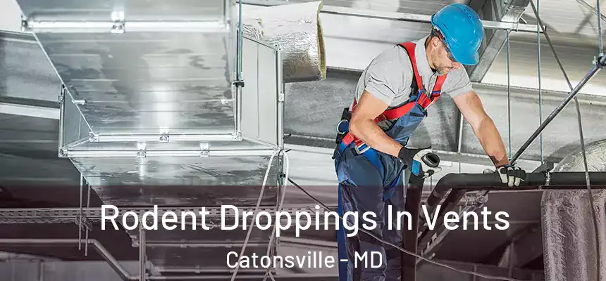  Rodent Droppings In Vents Catonsville - MD