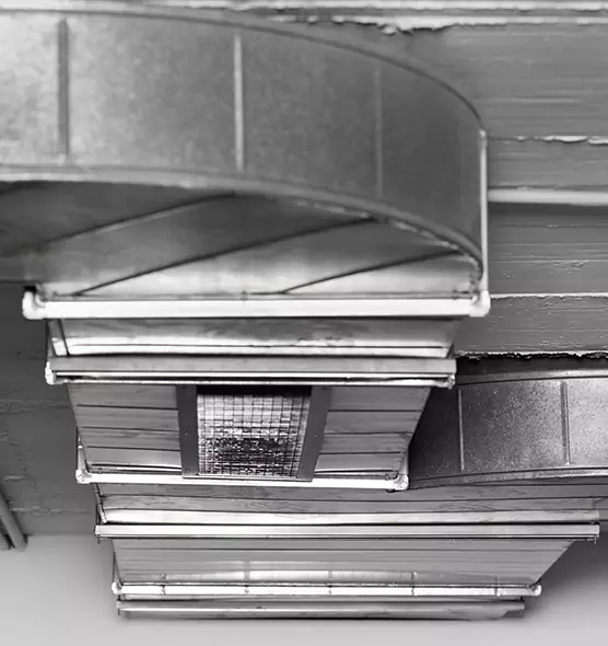 Professional Air Duct Pet Hair Removal in Catonsville, MD