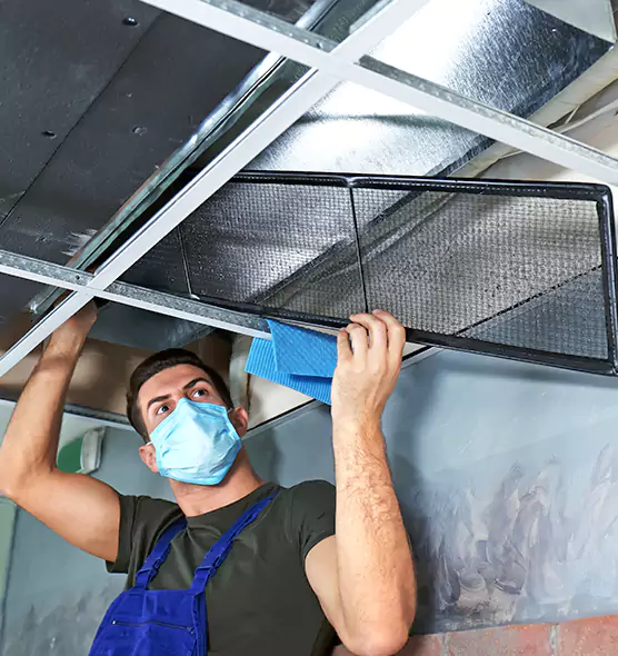 Professional Air Duct Pollen Cleaning in Catonsville, MD