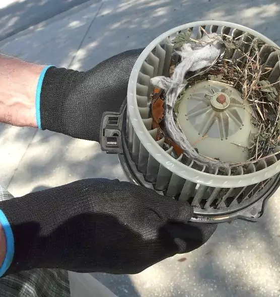 About Air Duct Rat Removal in Catonsville, MD