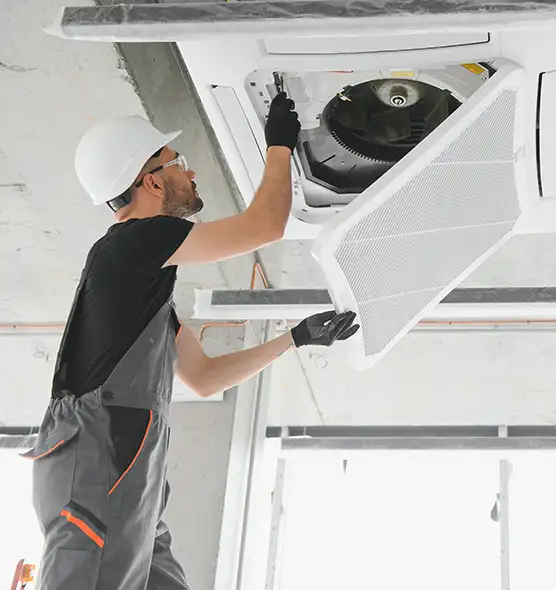 About Air Duct Rodent Removal in Catonsville, MD