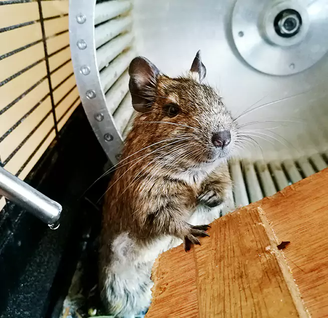 Why Homeowners & Businesses Trust Us Catonsville, MD?