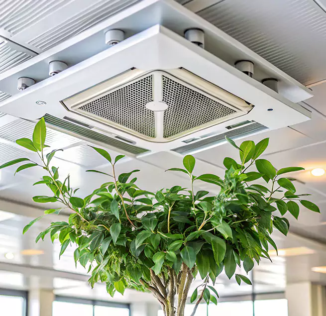 Why Homeowners & Businesses Trust Us in Catonsville, MD