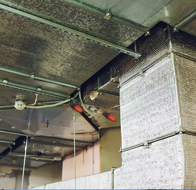 Why Homeowners & Businesses Trust Us Catonsville, MD?